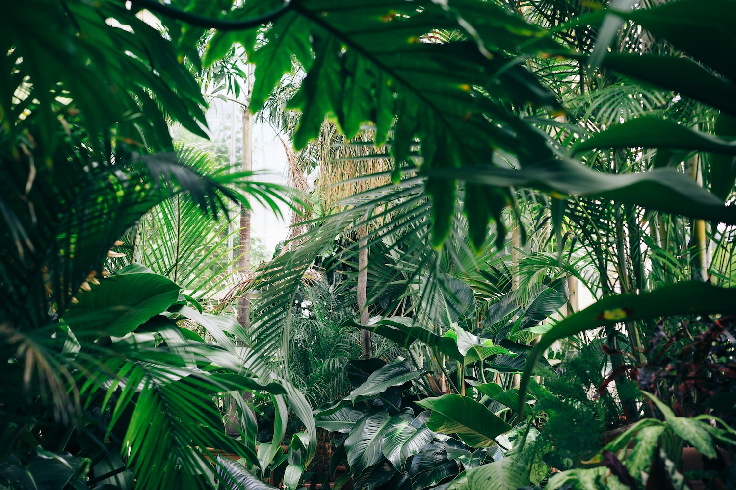 Het dubbelleven van planten